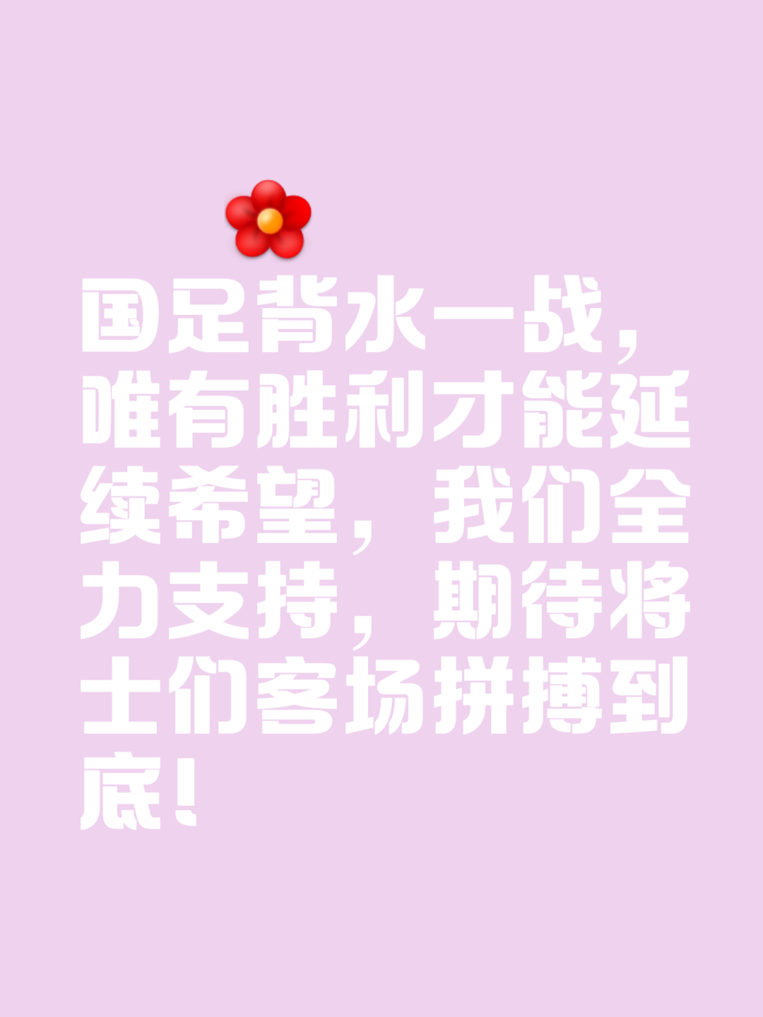 战队赢得球迷热情支持，期待更好表现的简单介绍